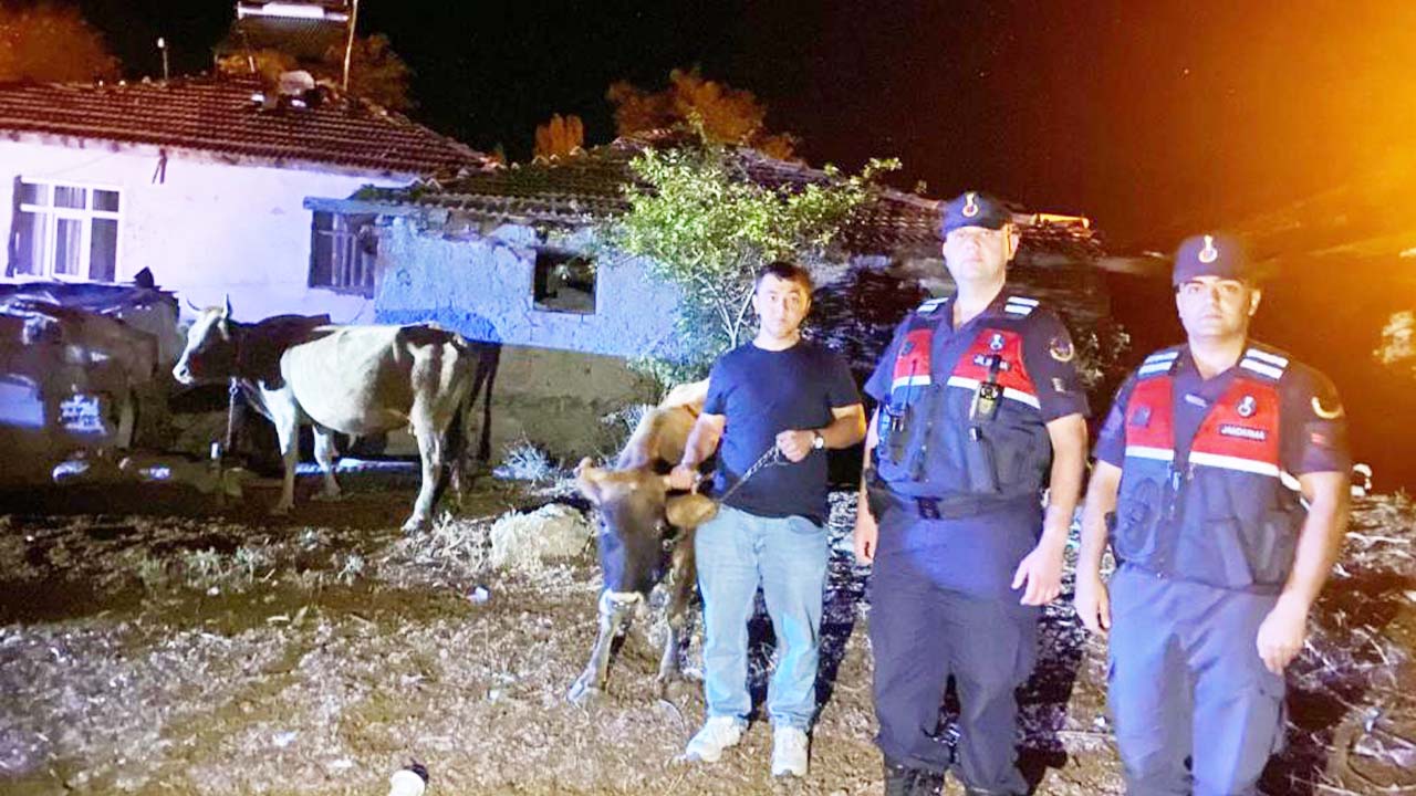 Jandarma Kayıp Hayvan