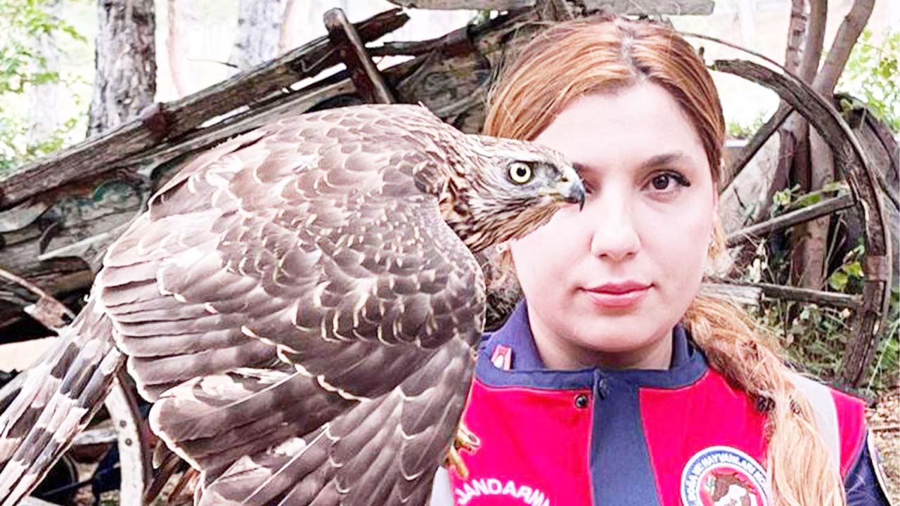 Jandarma Kuş Içki (3)