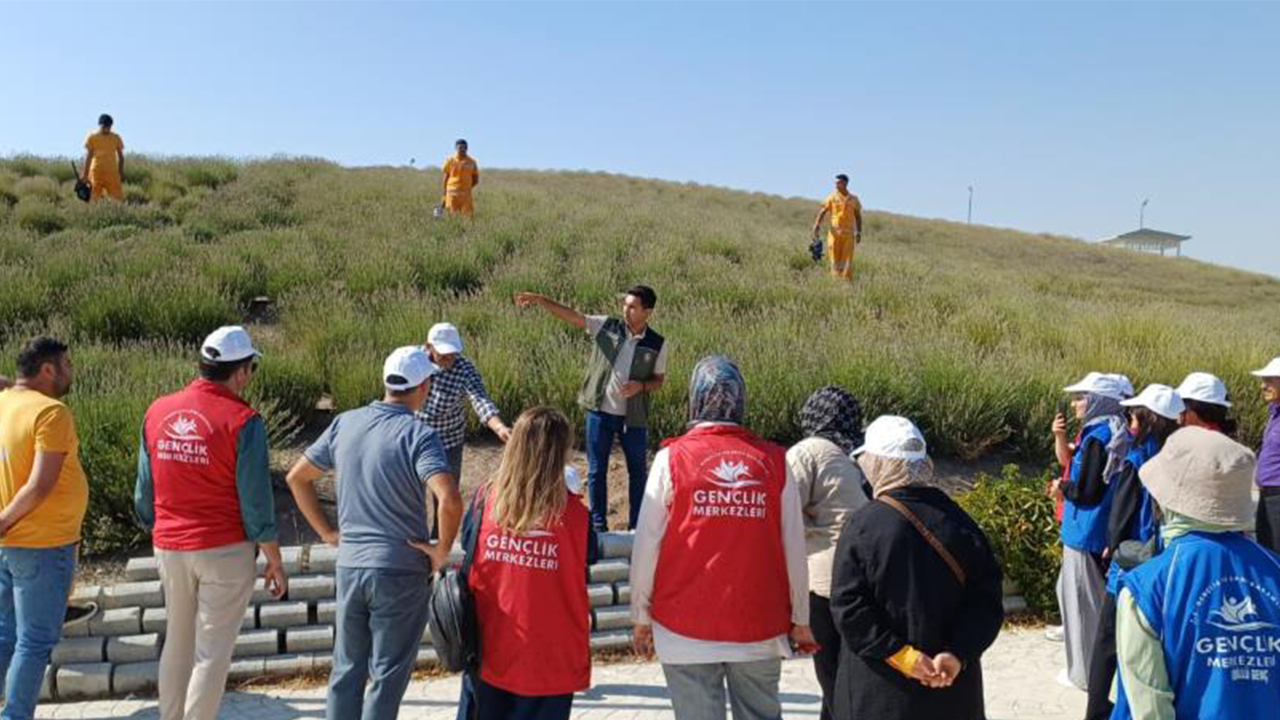 Lavanta Gençler (3)