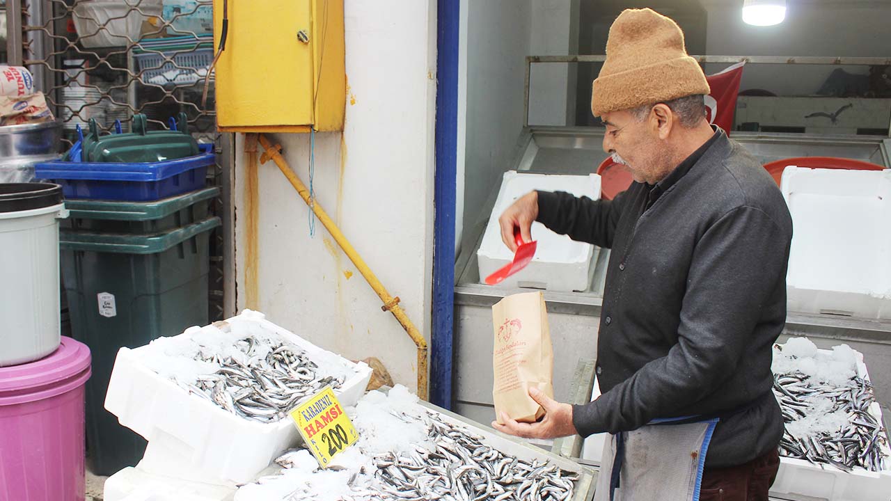 Sahil Balıkçılık (2)