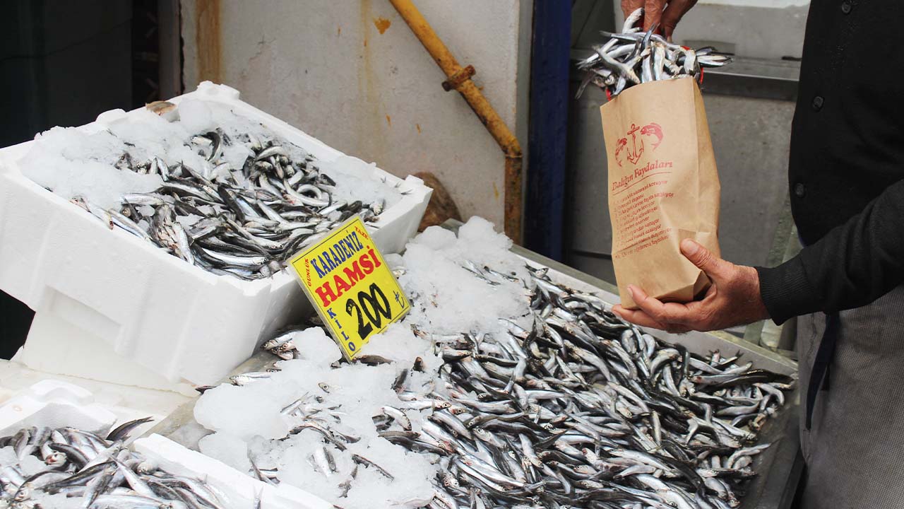 Sahil Balıkçılık (3)