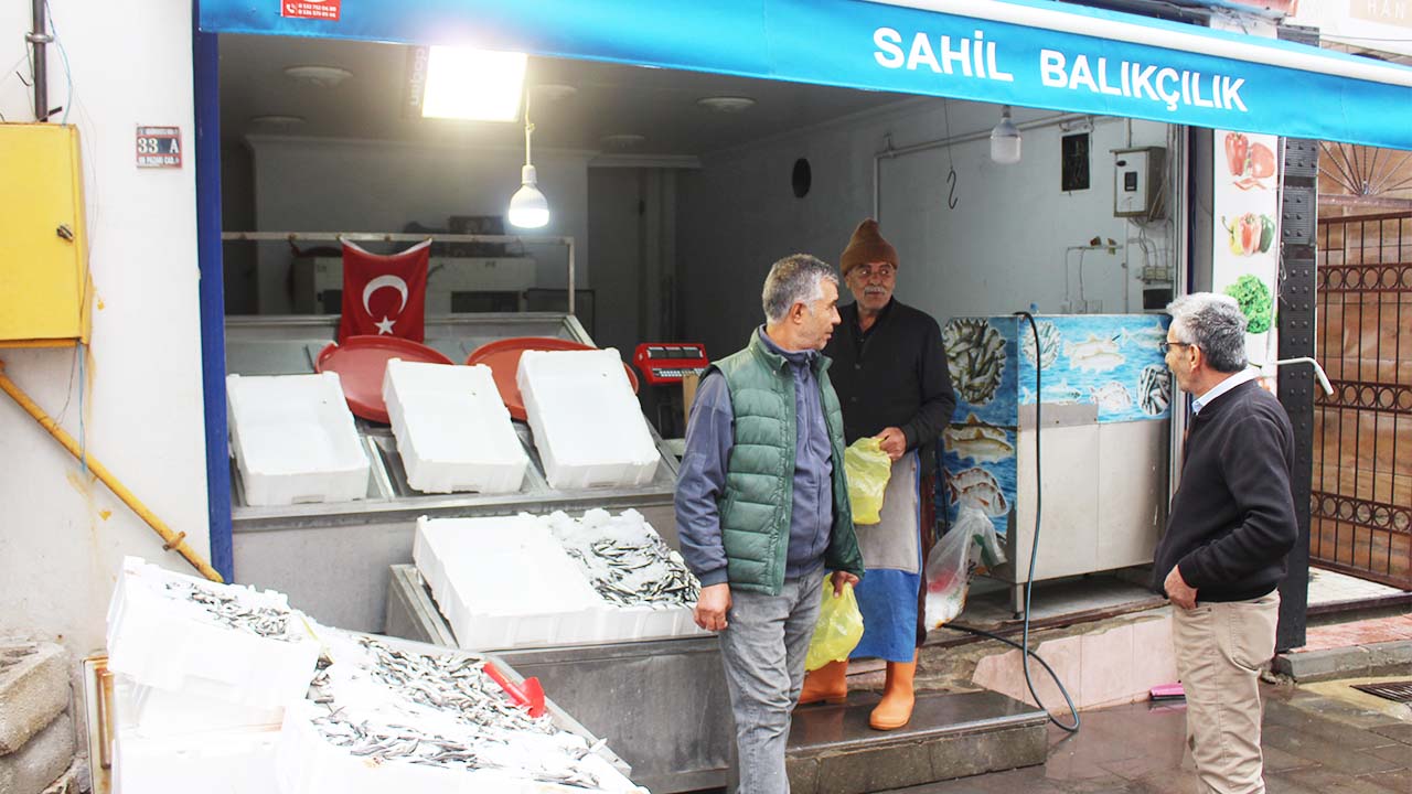 Sahil Balıkçılık (5)
