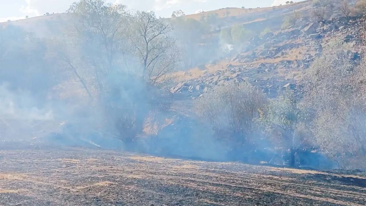 Sorgun 100 Dönüm Arazi (2)