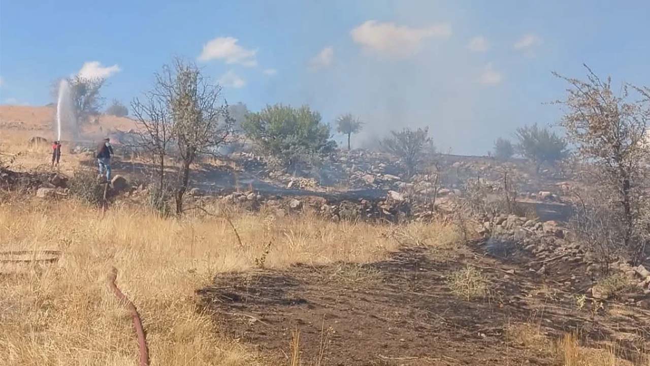 Sorgun 100 Dönüm Arazi (3)