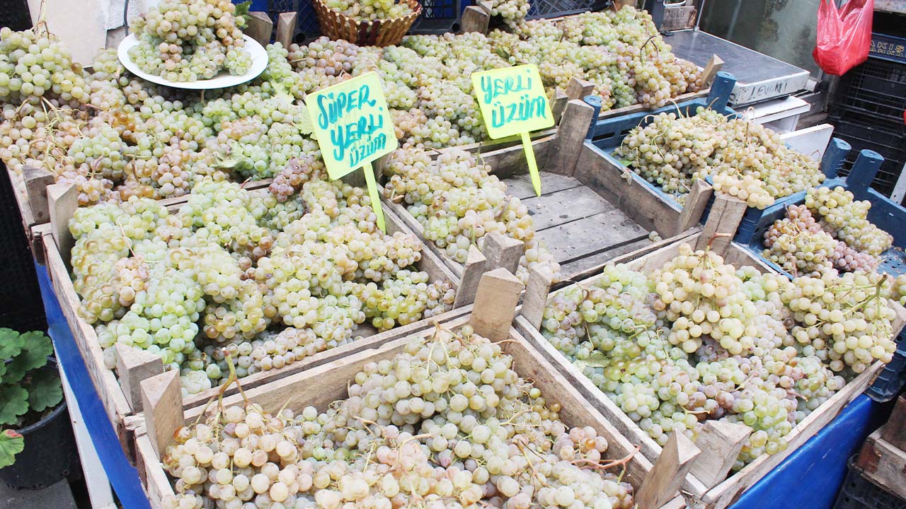 Üzüm Yozgat (2)