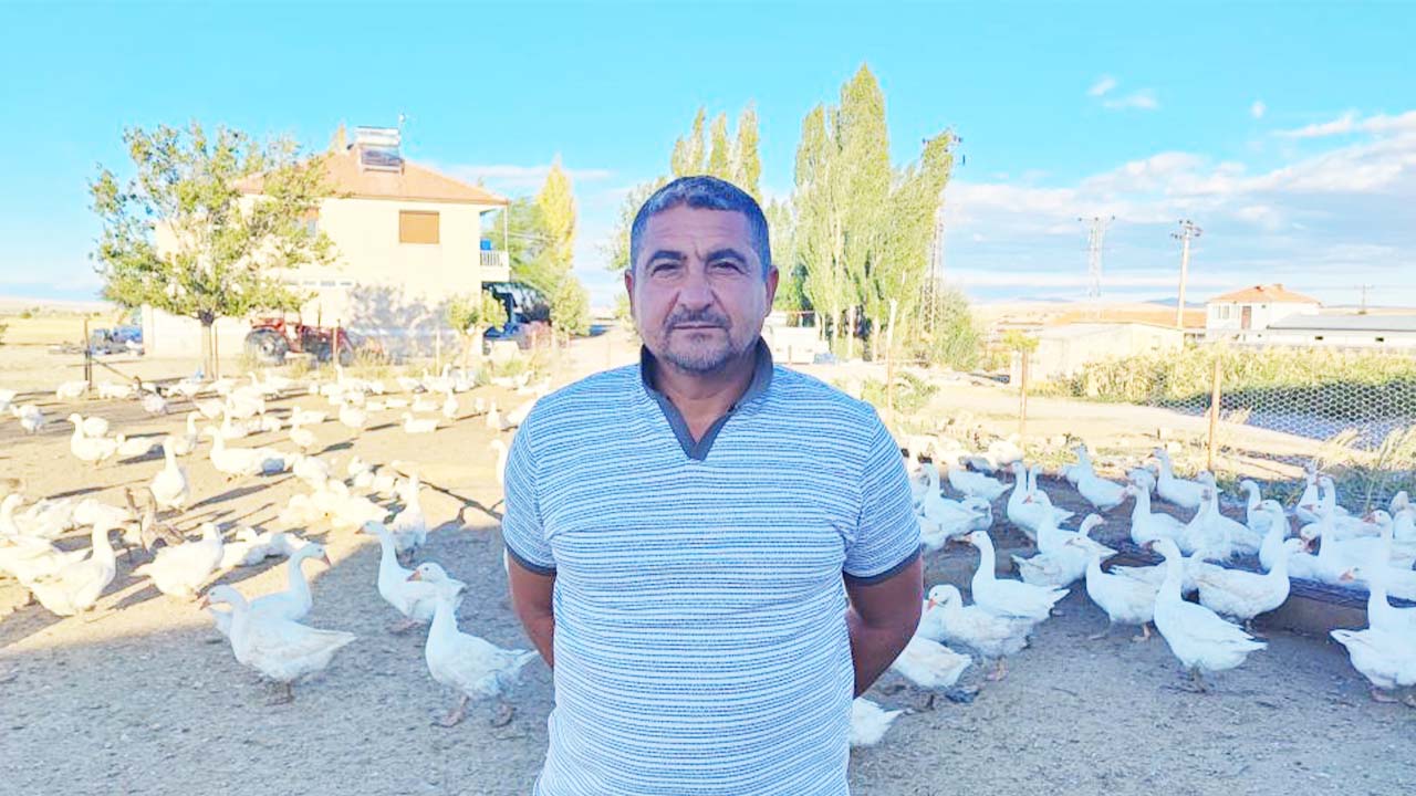 Yozgat Kaz (4)