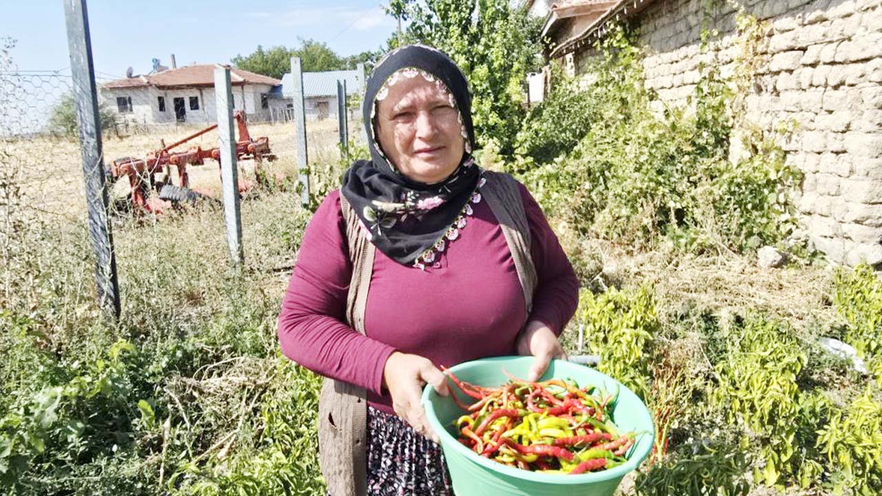 Yozgat Kışlık Hazırlık (5)