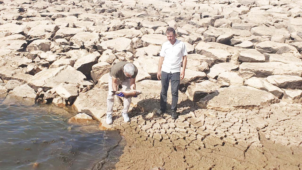 Yozgat Sorgun Balık (3)