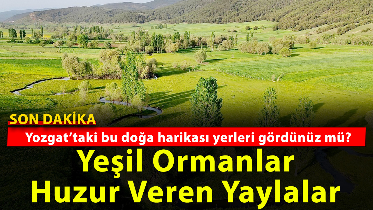 Yozgat’ın doğa harikası yerleri, muhteşem yaylalarını gördünüz mü?