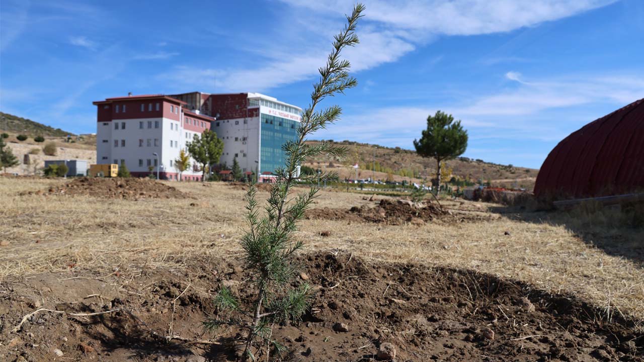 Bozok Ağaçlandırma Mezuniyet (1)