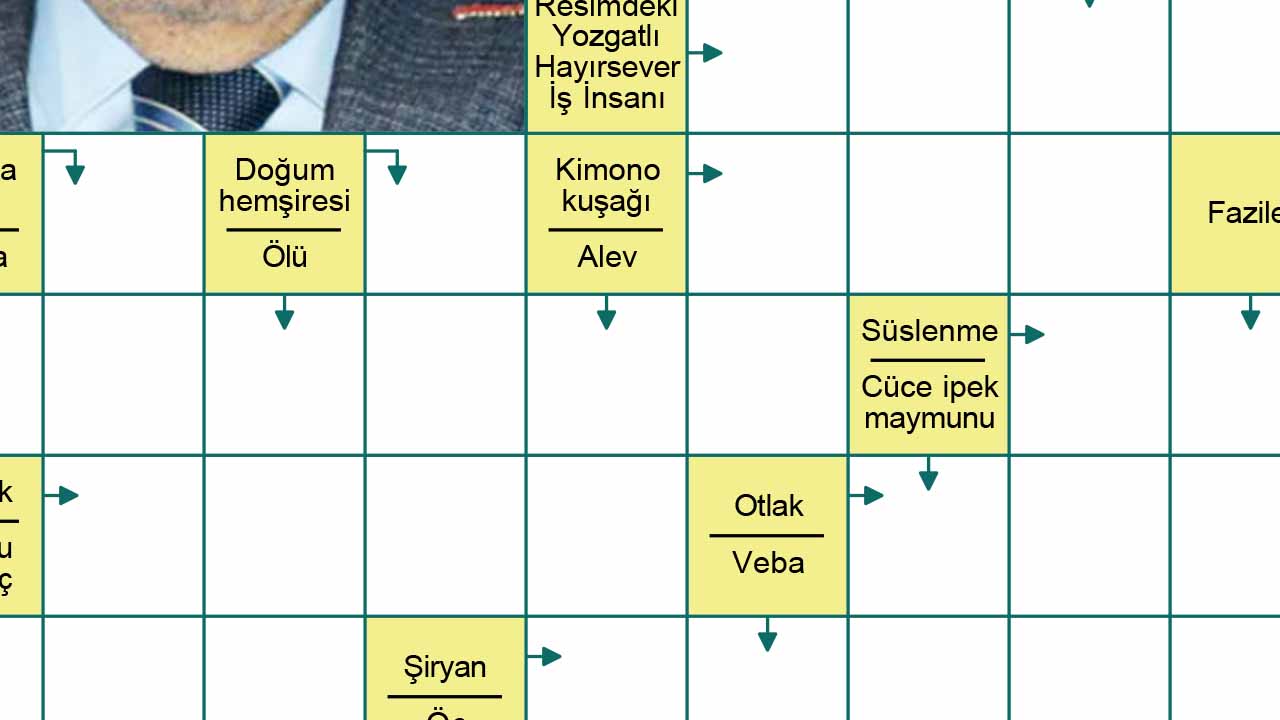 Çamlık Bulmaca Yozgat1