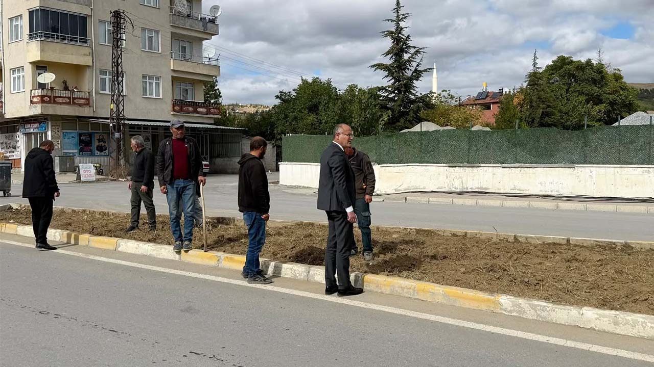 Çekerek Fuat Oktay Bulvar (3)