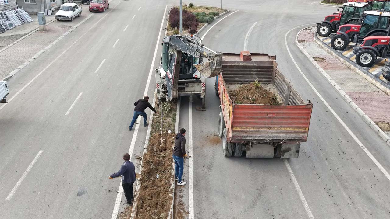 Çekerek Fuat Oktay Bulvar (4)