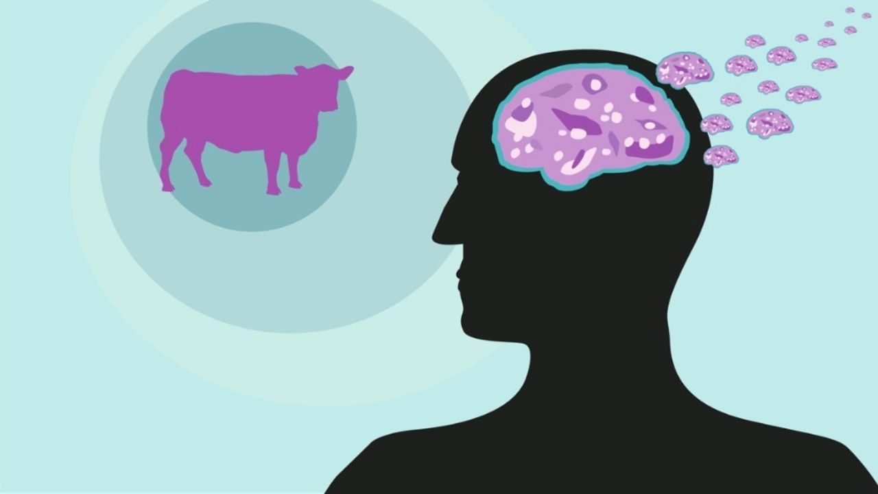 Deli Dana Hastalığı Tespit Edildi (2)