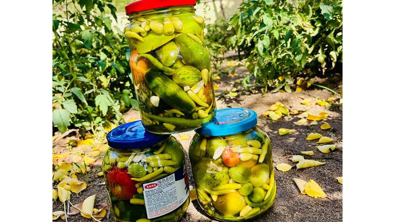 Esenli Huzureviii (3)