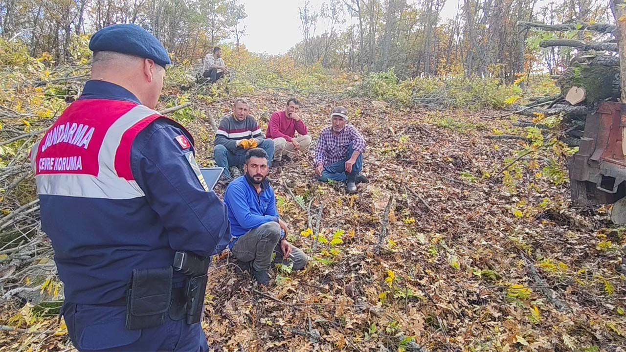 Jandarma Hayvanları Koruma (3)