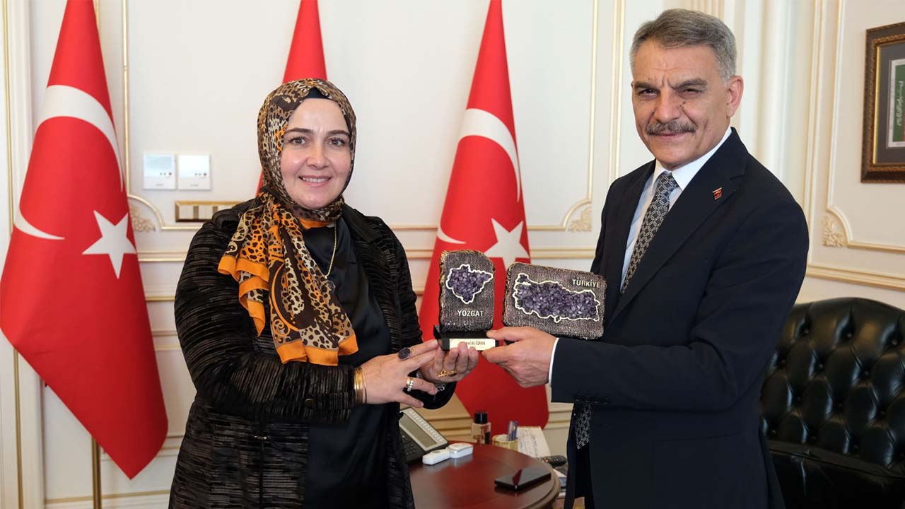 Kavun Meyve Suyu (2)