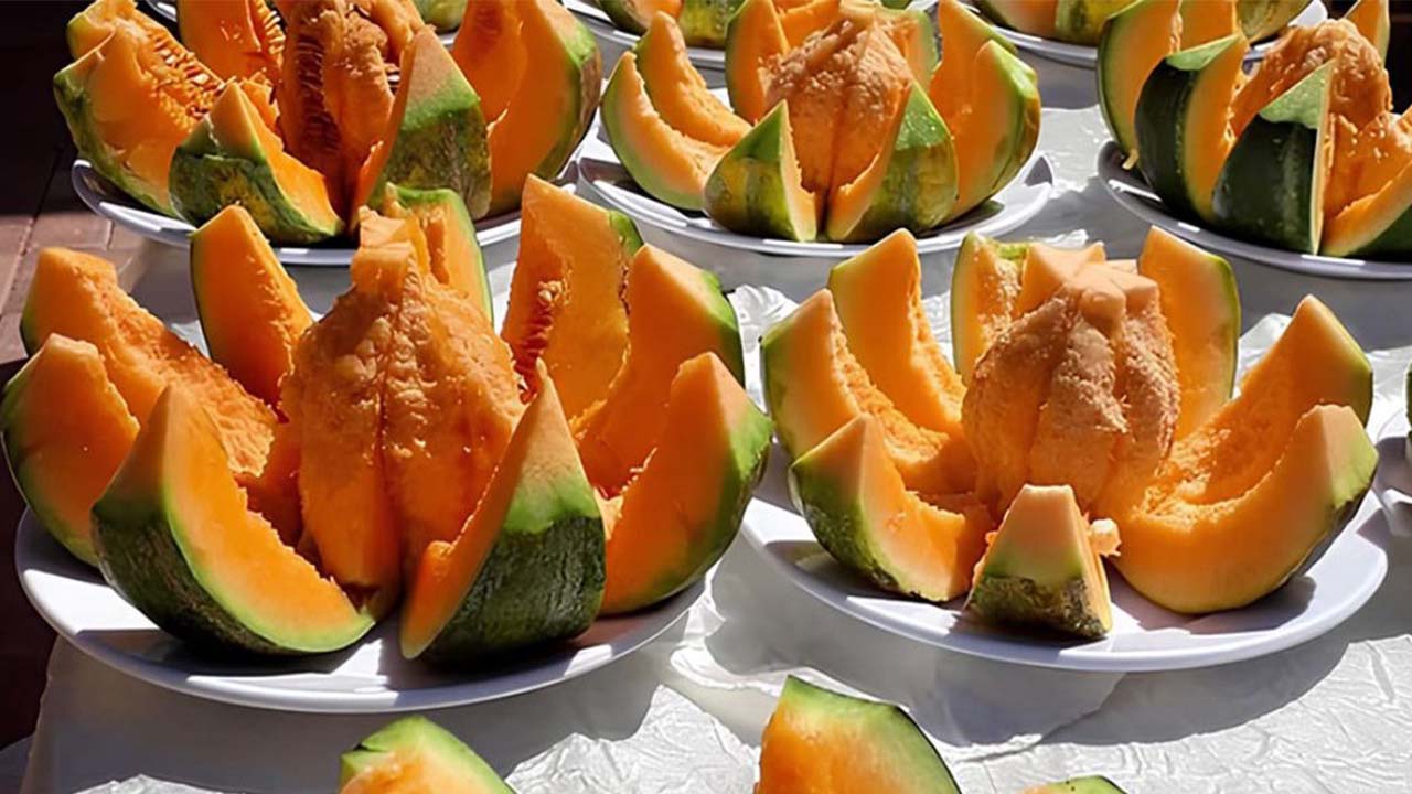 Kavun Meyve Suyu (3)