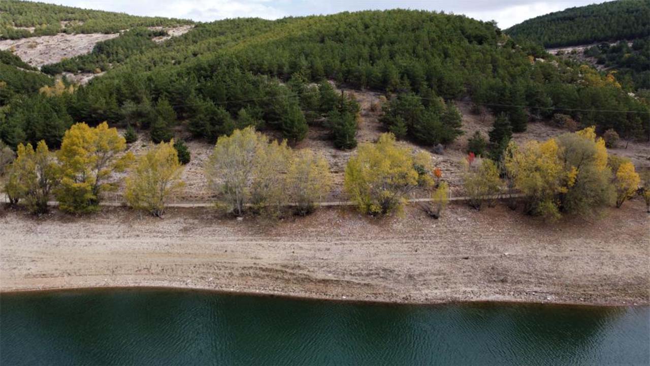 Kirazlı Sonbahar Görüntü (4)