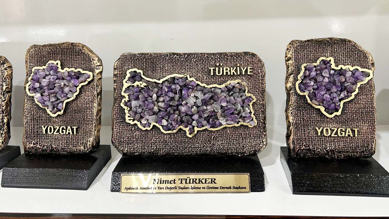 Nimet Türker Taş (2)