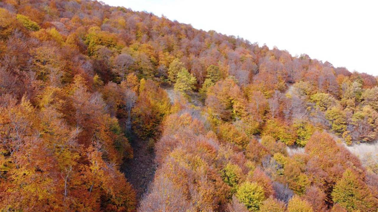 Şebek Geçiti Yozgat Manzara (4)
