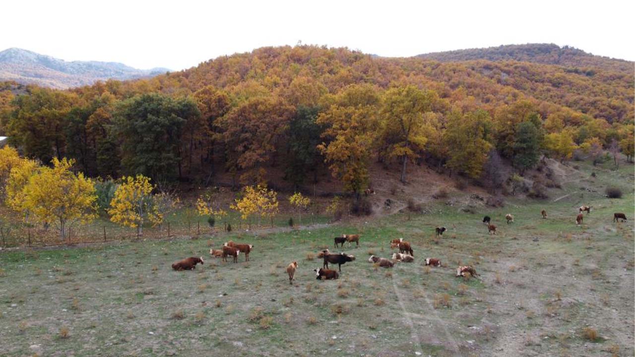 Şebek Geçiti Yozgat Manzara (6)