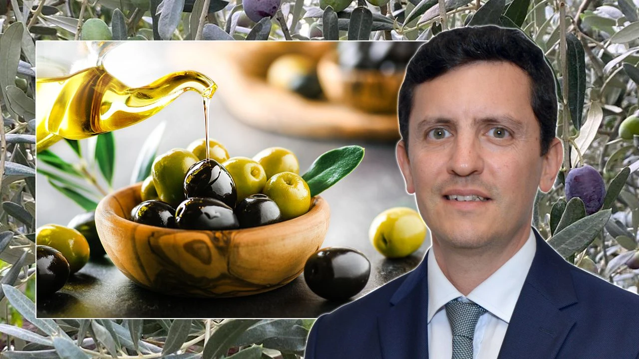 Türkiye, Sofralık Zeytin İhracatında Tarihi Rekora Ulaştı