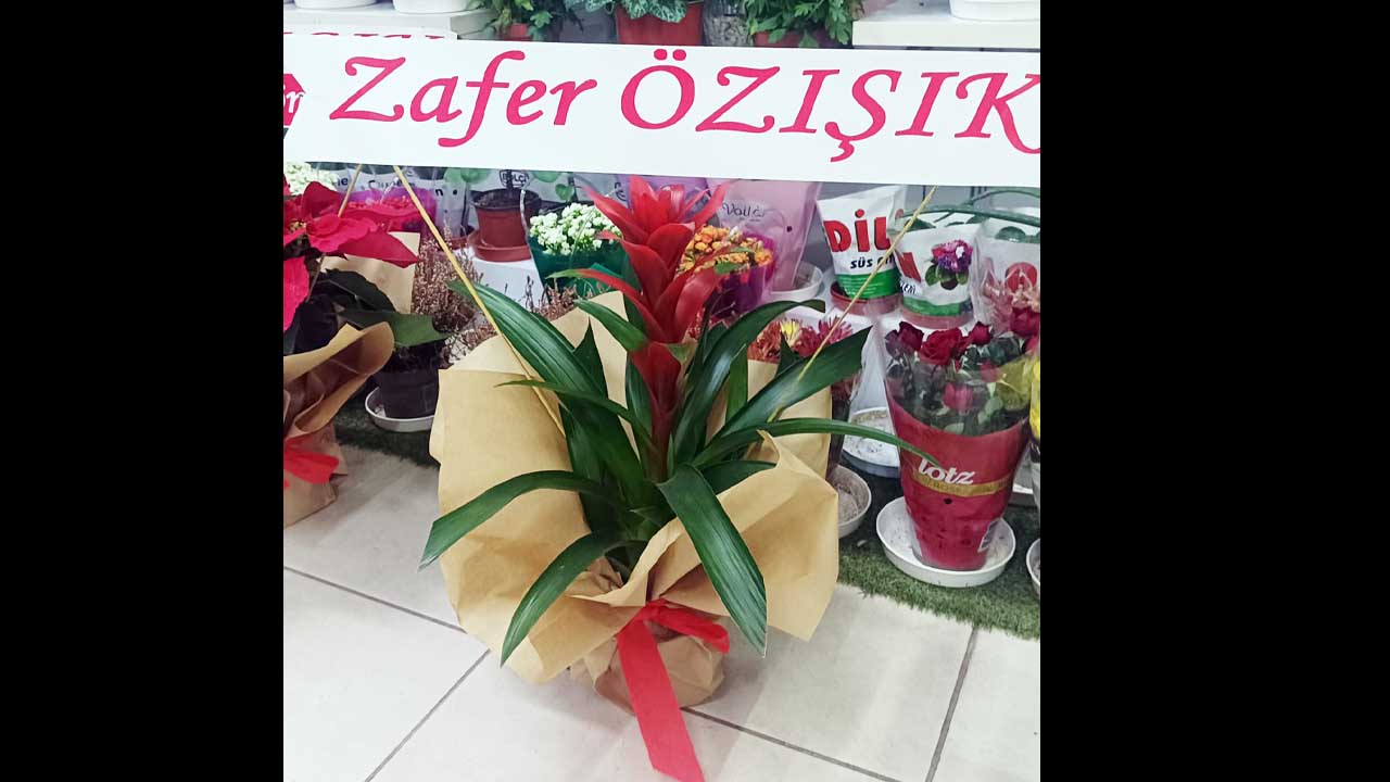 Yozgat Bosch Bayiliği Zafer Özışık Ziyaret 2