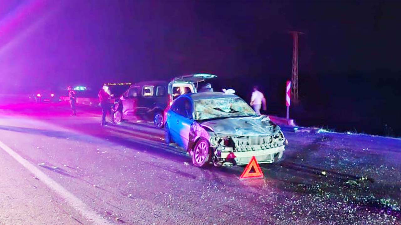 Alaca Yozgat Dana (1)