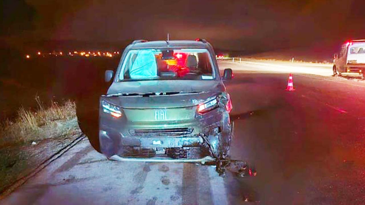 Alaca Yozgat Dana (2)