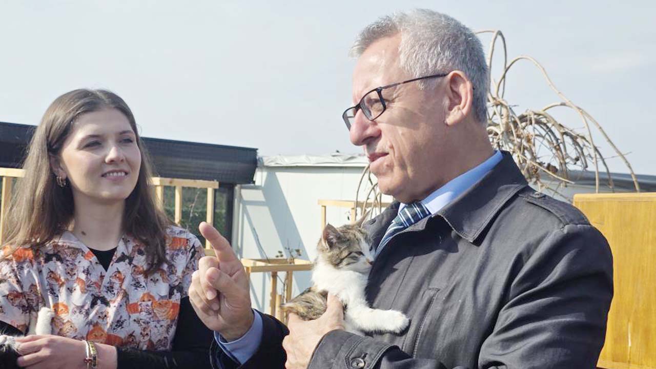 Başkan Arslan Kedi (4)