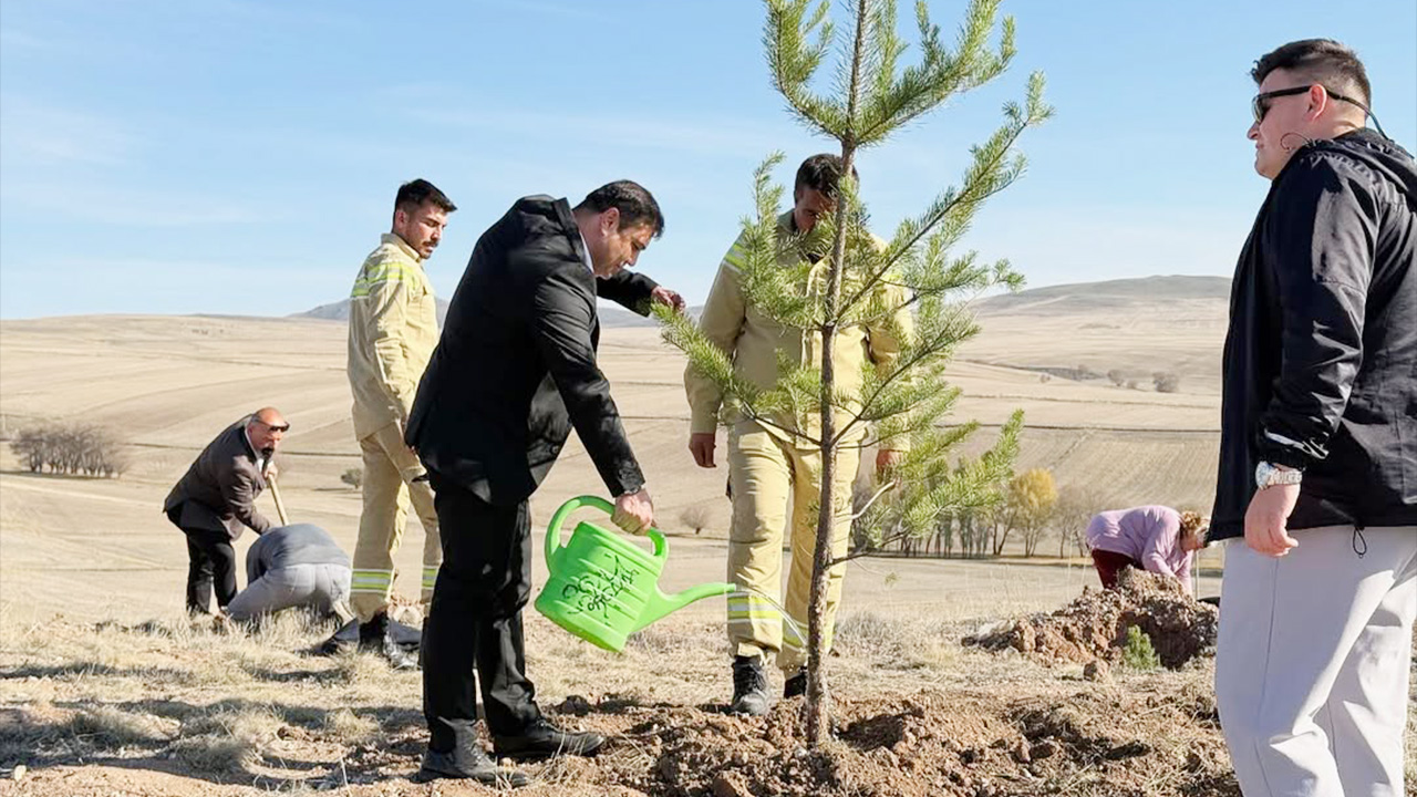 Bayram Eren Arslan Hatıra Ormanı (4)