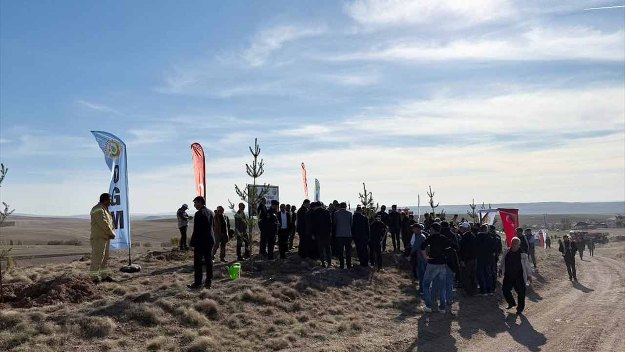 Bayram Eren Arslan Hatıra Ormanı (6)