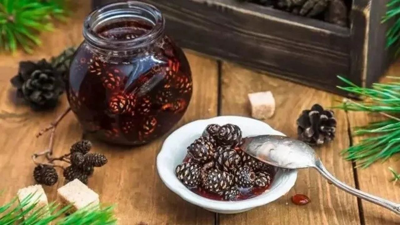 Çam Kozalağı Macunu-1