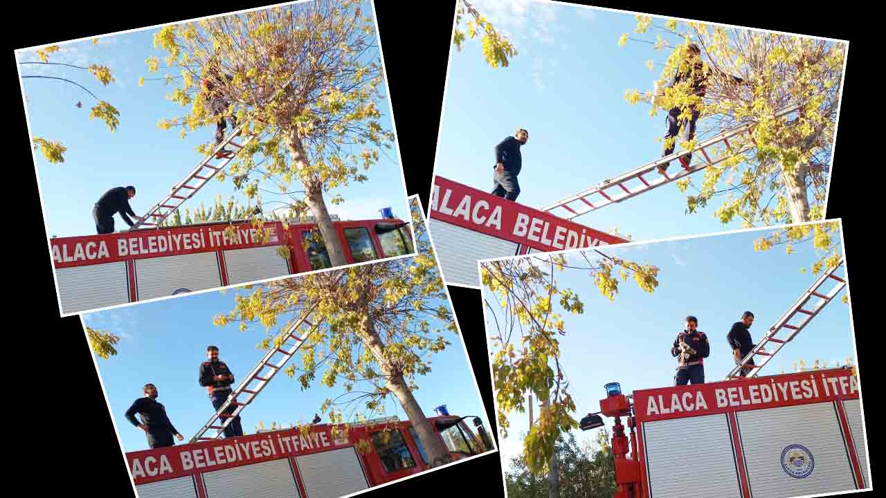 Çorum Alacada Kurtarma Operasyonu