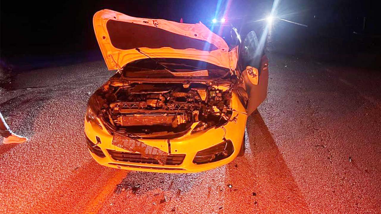 Çorum Yozgat Dana (2)