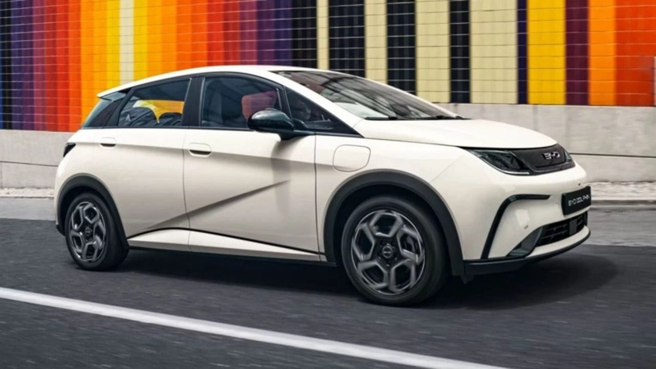 Dolphin’e Kasım Dopingi-1