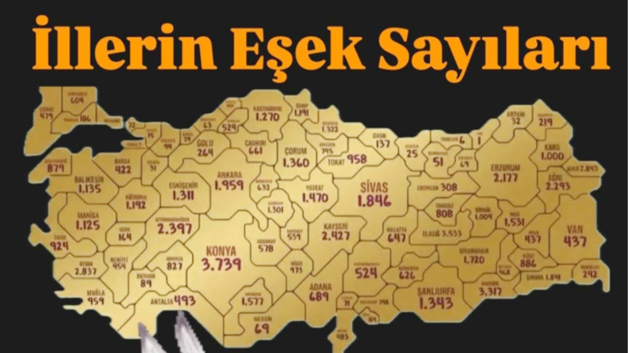 Eşek Sayısı