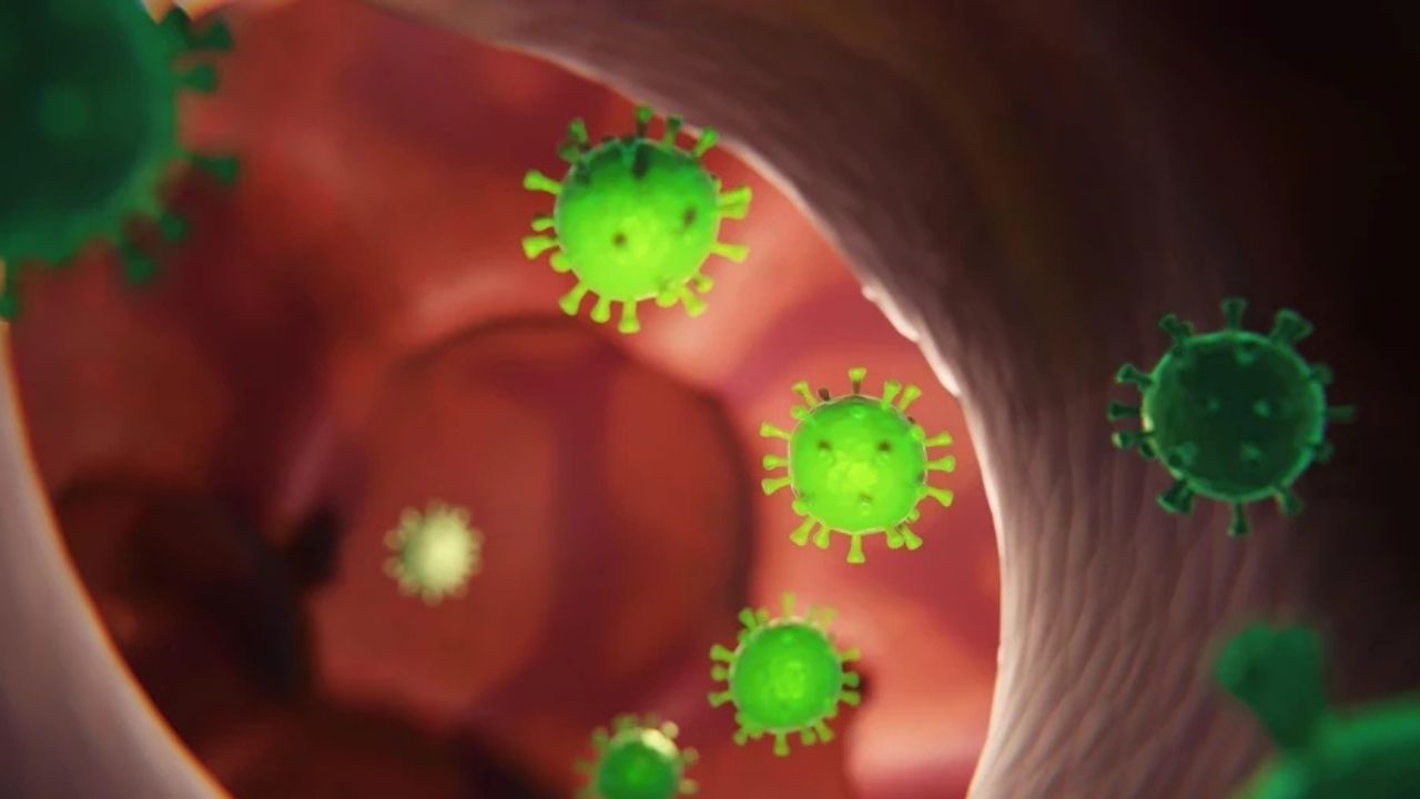 Grip Aşısı Gribe Neden Olur Mu-1