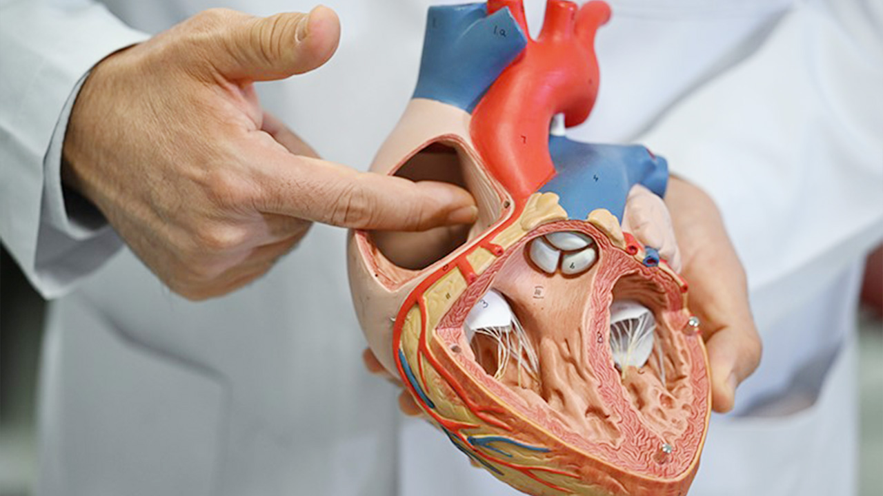 Hayata Bağlayan Tedavi (3)