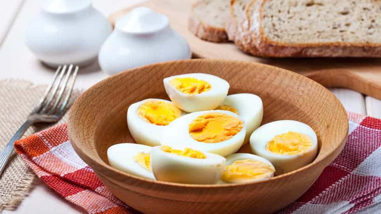 Kış Bağışıklık (1)