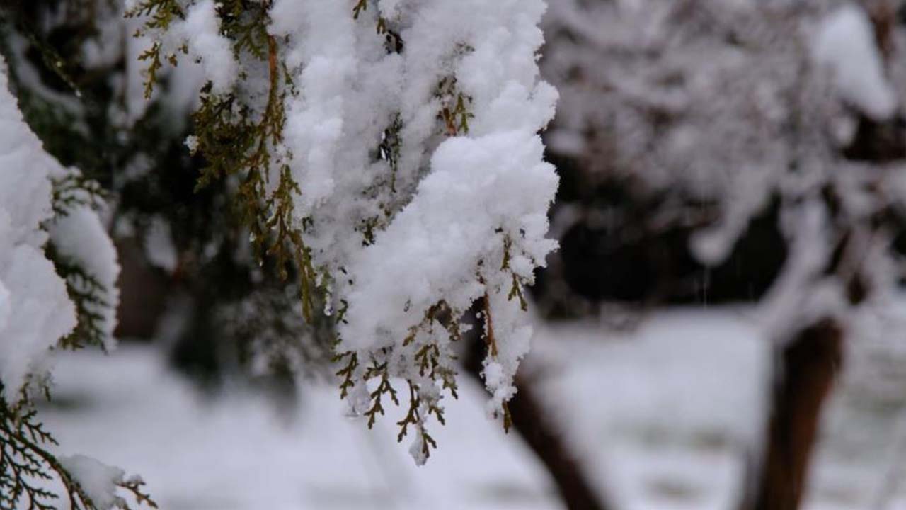 Mevsim Kar Akdağ Iha (1)
