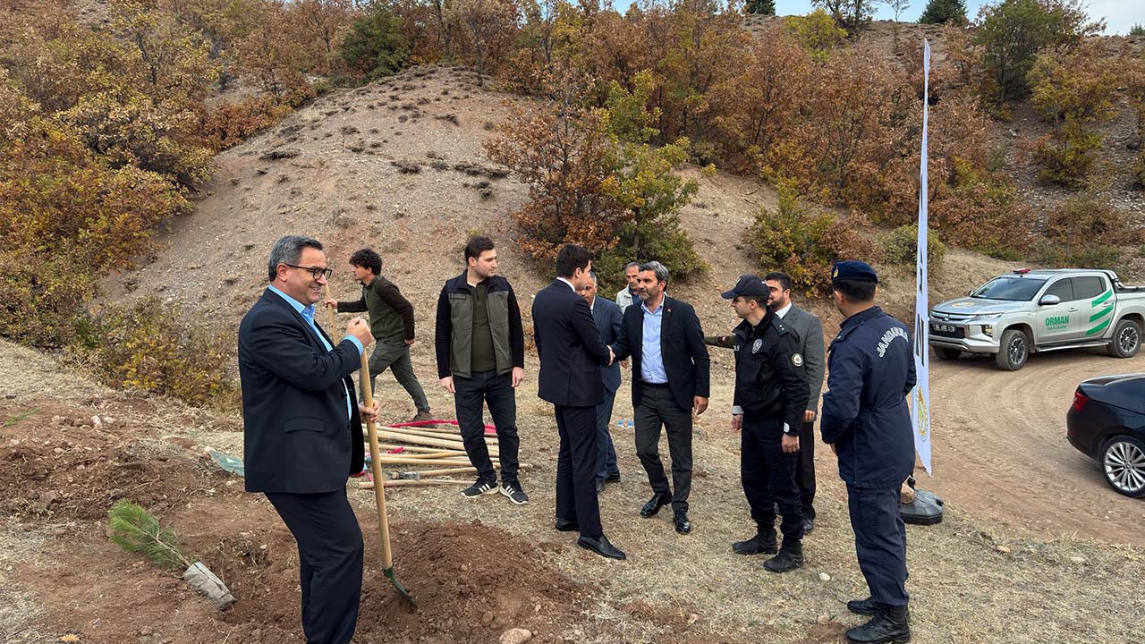 Mustaaf Tekçam Fidan (1)