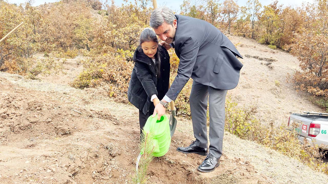 Mustaaf Tekçam Fidan (3)