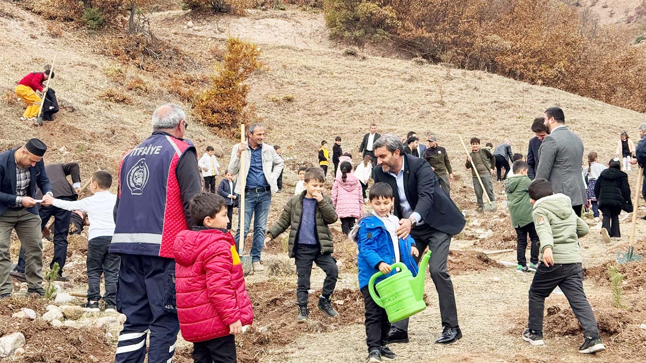 Mustaaf Tekçam Fidan (4)