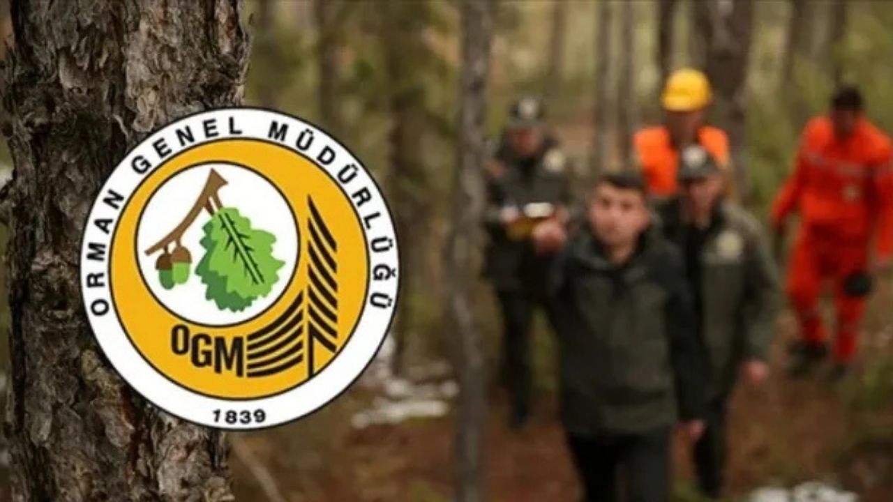 Ogm’den Yozgat’a İş İmkanı (2)