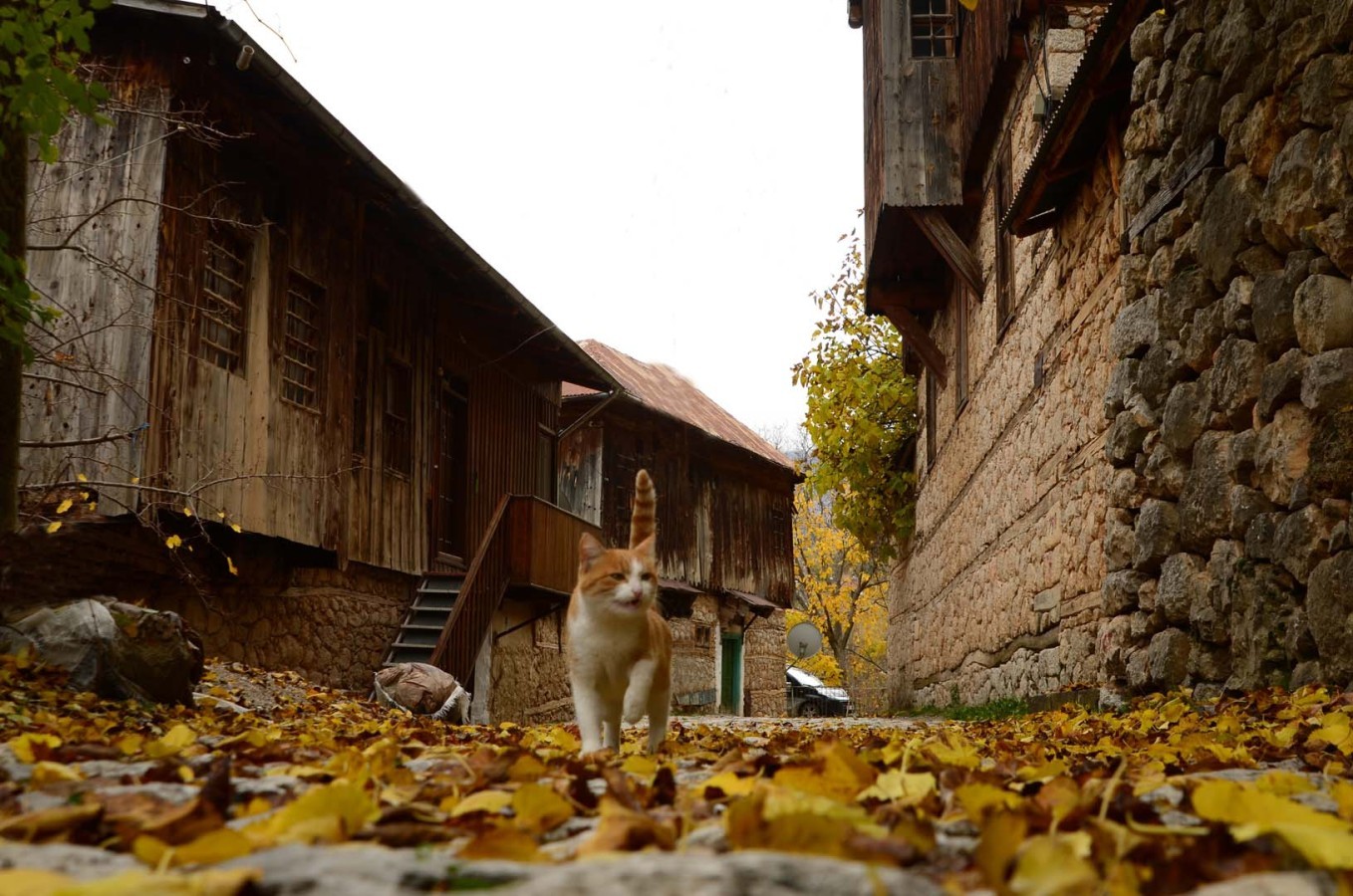 Rıfat Çakır Kemaliye (8)