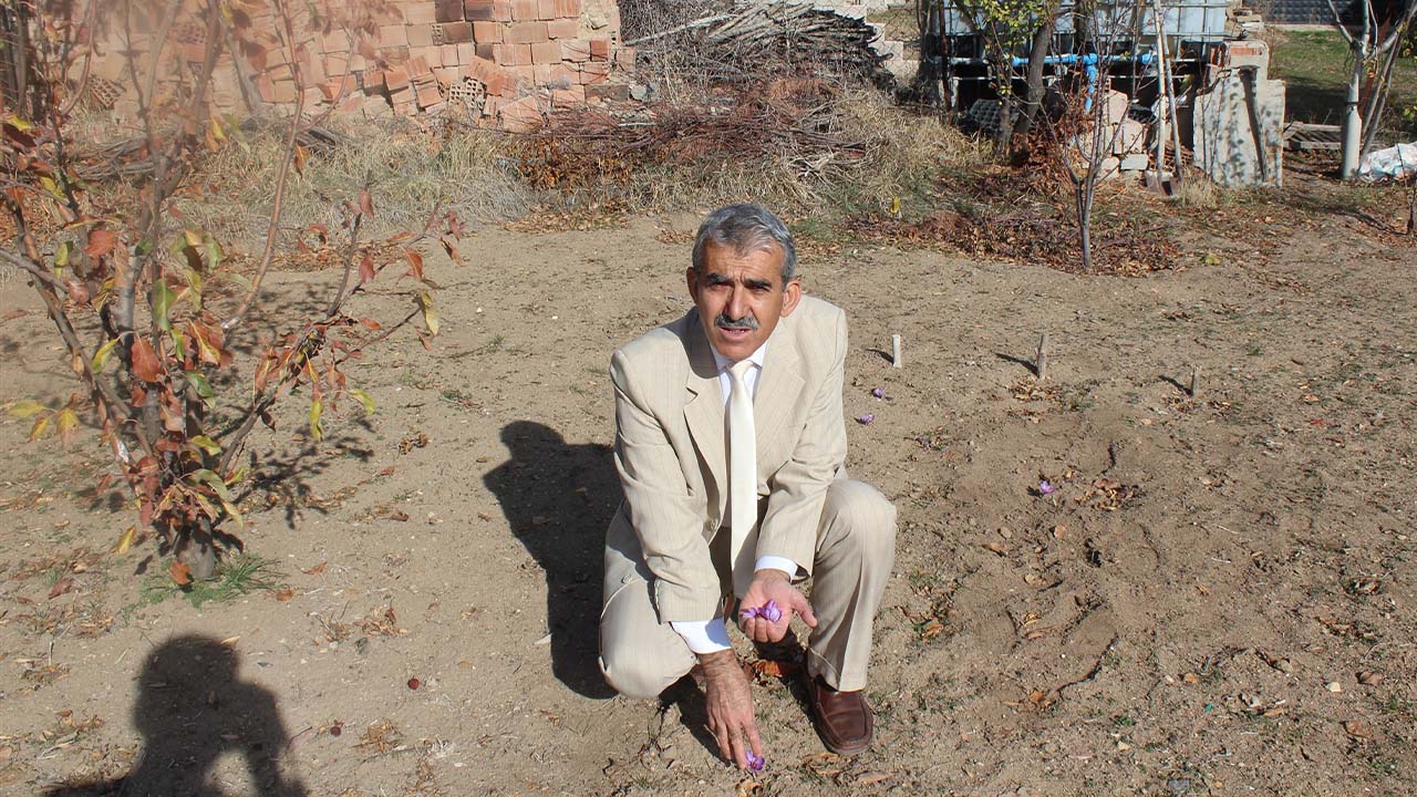 Safran Ekimi Tarım Il (4)