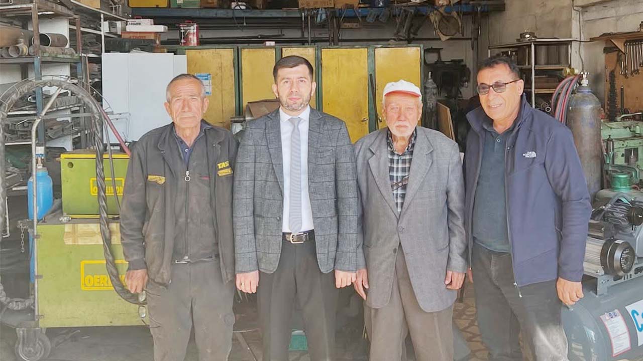 Şefaatli Ulu Çınar-1