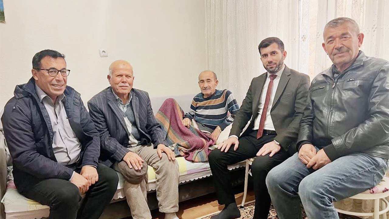 Şefaatli Ulu Çınar-2